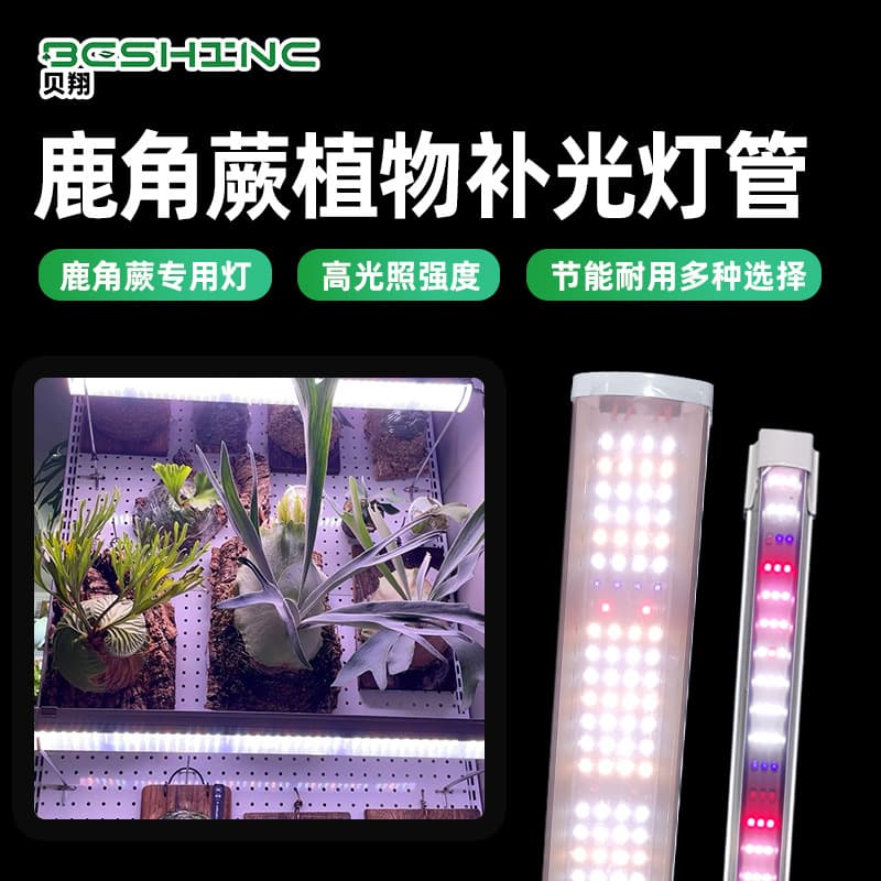 Plant Grow Light for Staghorn Fern Orchid Full Spectrum UV Factory Direct Indoor Red Blue LED Plant Growth Lamp