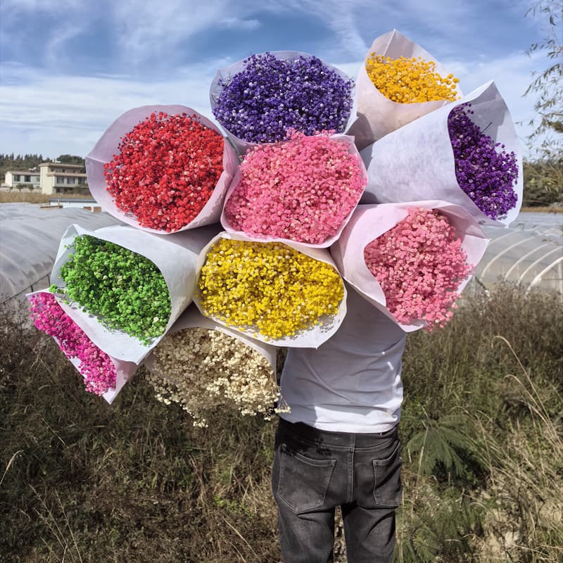 Factory direct supply of Eternal Flowers Gypsophila gypsophila gypsophila dried flower bouquet manufacturers wholesale eternal Gypsophila gypsophila flowers
