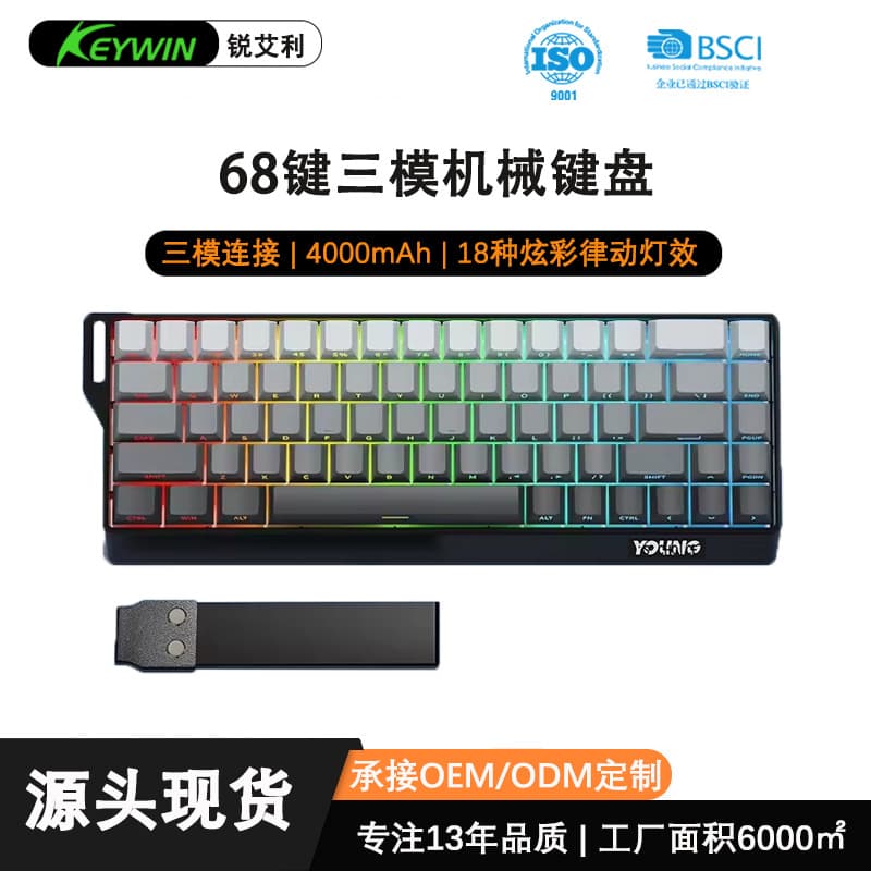 RuiAiLi K68 Tri-Mode Wired Mechanical Switch RGB Mechanical Keyboard Gaming E-Sports 68-Key Mechanical Keyboard