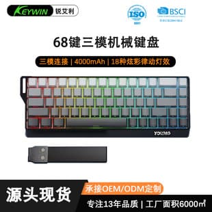 RuiAiLi K68 Tri-Mode Wired Mechanical Switch RGB Mechanical Keyboard Gaming E-Sports 68-Key Mechanical Keyboard