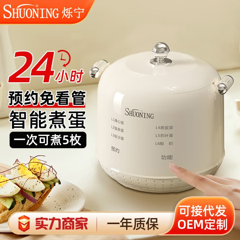 Shuoning Egg Cooker Steamer, Home Mini Steamer with Programmable Multifunction, Soft-boiled Egg Keeper and Warmer