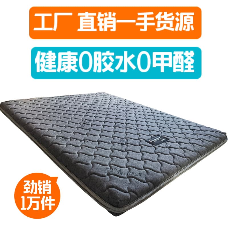 Custom Sponge Mattress, Removable and Washable, Dorm/Apartment Soft Mattress, Soft Mattress Cover for Home Beds