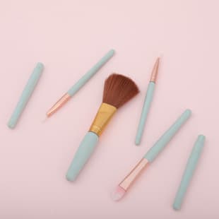Factory Direct Small Eight-Piece Makeup Brush Set with Plastic Handle, Loose Powder Blush Highlighter Beauty Tool Handle Stock Wholesale