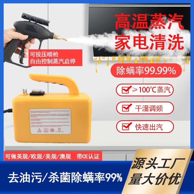 Steam Cleaner Machine - Safe Protective Against Dirt Germs For Home Car Use