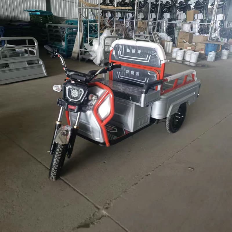 Small Electric Tricycle Leisure Scooter Passenger and Cargo Electric Vehicle for Express Delivery