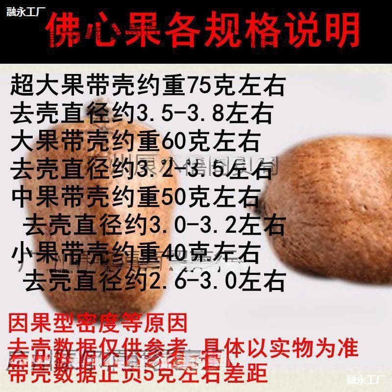Bodhi Seed Buddhist Heart Fruit Malaysia Original Seed Old Fruit Colorful Large Fruit Pendant Necklace Original Red Hand Piece