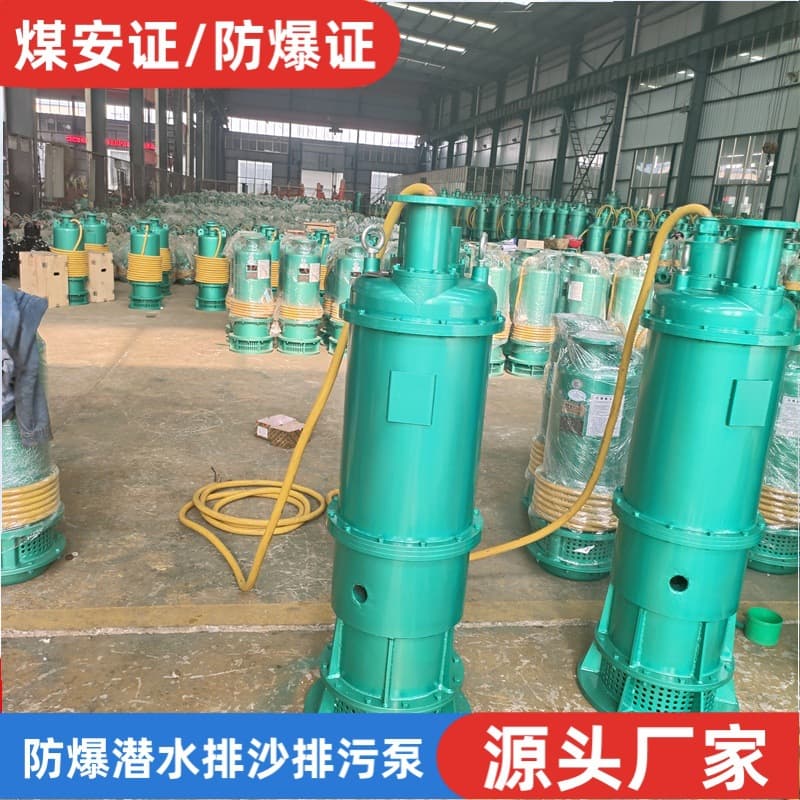 Mining explosion-proof submersible sand discharge electric pump accessories BQS80-500/4-280 high power sludge pump 660V