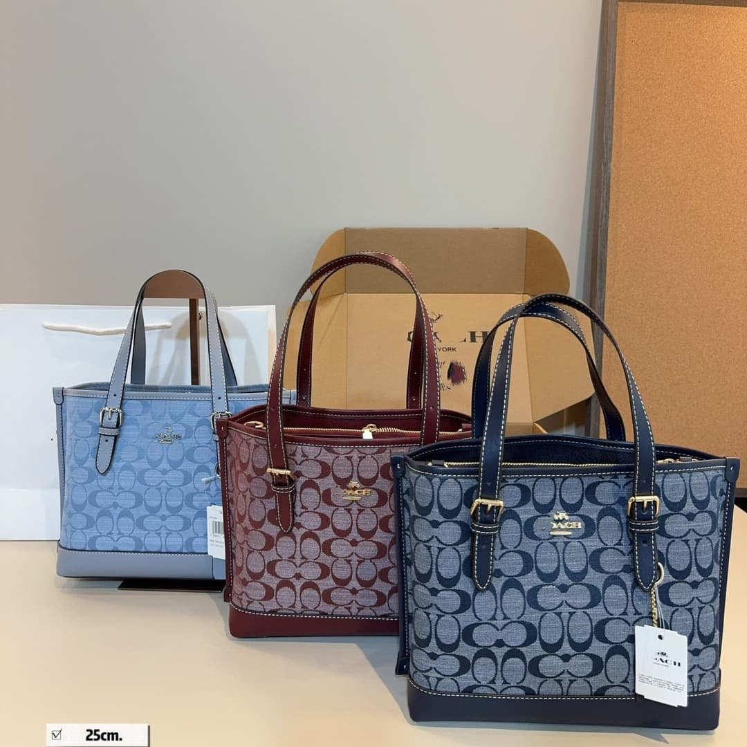 Coach Genuine Leather LV Women's Bag Mollie 25 Tote Handbag Shopping Bag Basket Bag