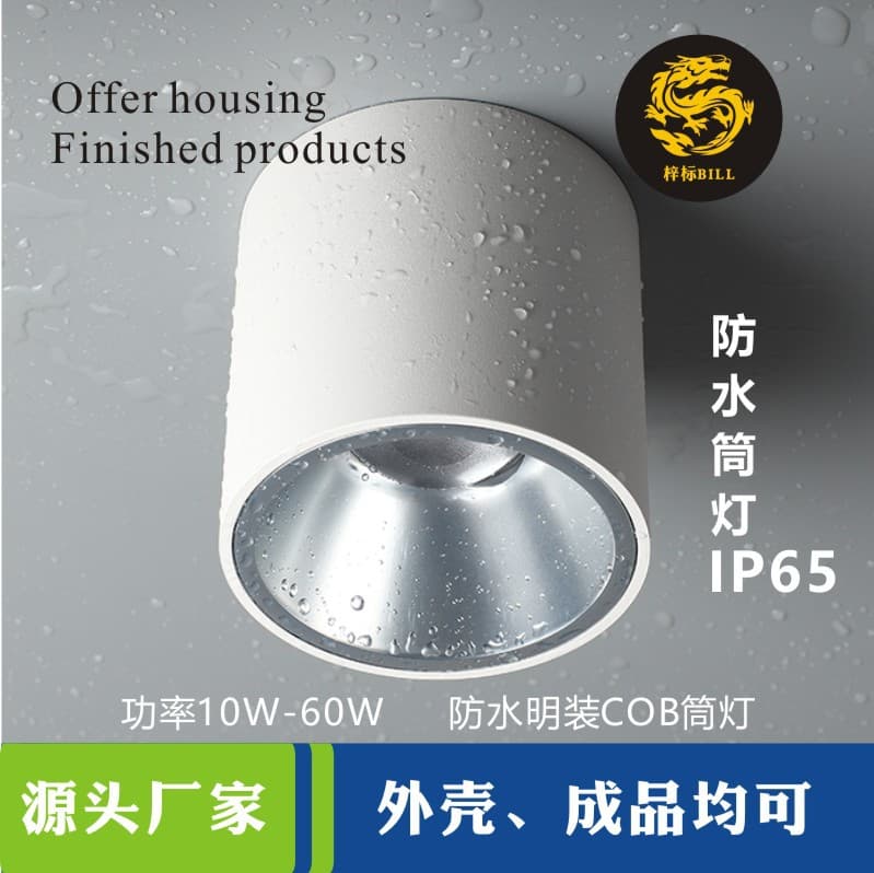 IP65 waterproof downlight housing kit 50W LED waterproof bathroom shower room waterproof COB downlight housing