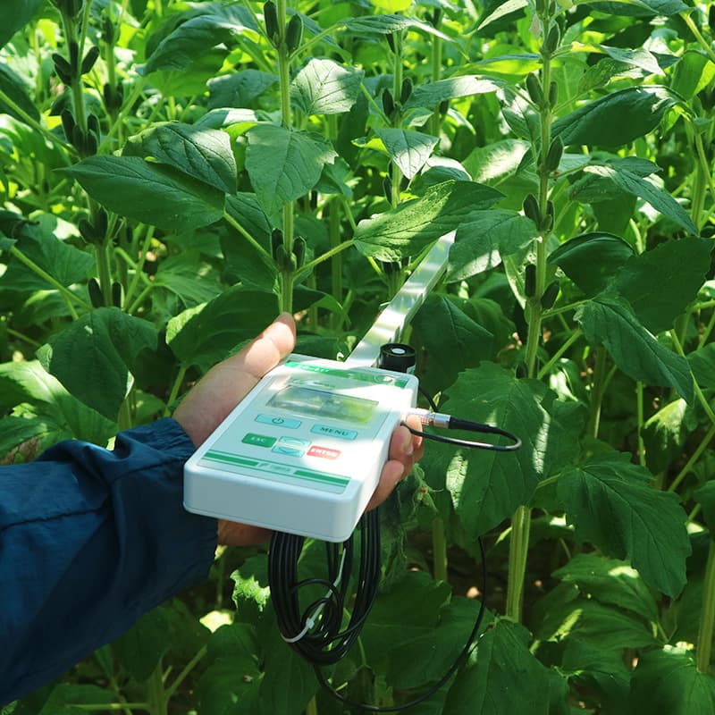 Plant Canopy Analyzer Leaf Area Index Meter for Canopy Light Resource Survey