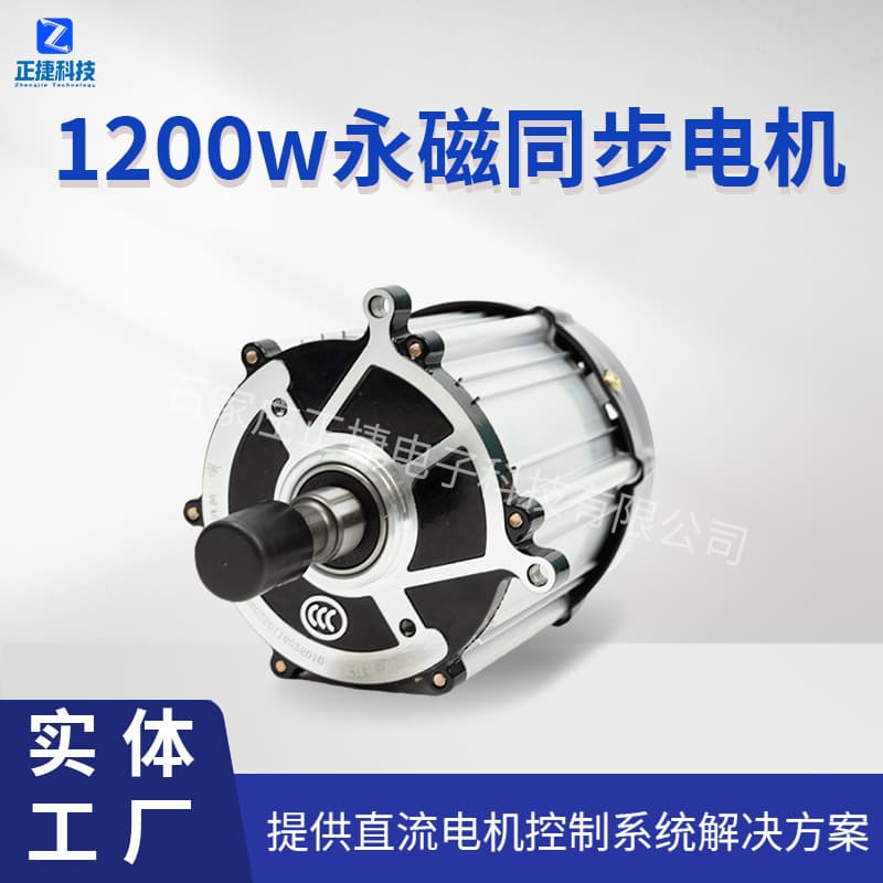 1200W/48V Permanent Magnet DC Brushless Motor for Four-Wheel Electric Vehicle with Reduction Gear Differential Steering High-Power Motor
