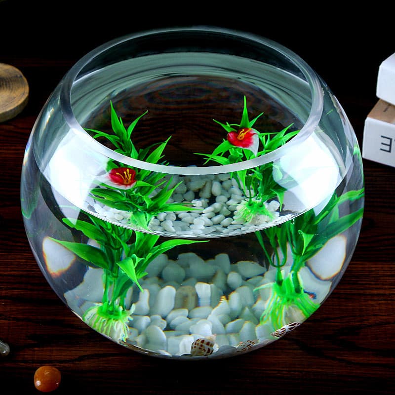 Simple small transparent spherical glass goldfish tank water culture glass flower arrangement hydroponic transparent vase home gardening