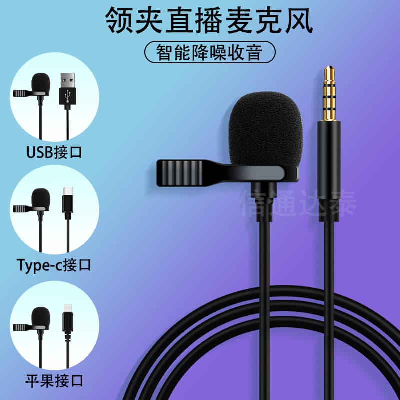 Mini Portable Type-C Microphone for TikTok, Kuaishou, USB Live Streaming Wired Lavalier Mic