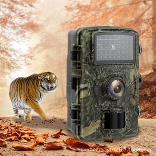 Outdoor Monitoring Infrared Night Vision Hunting Camera Low Power IP66 Animal Behavior Orchard Surveillance Camera