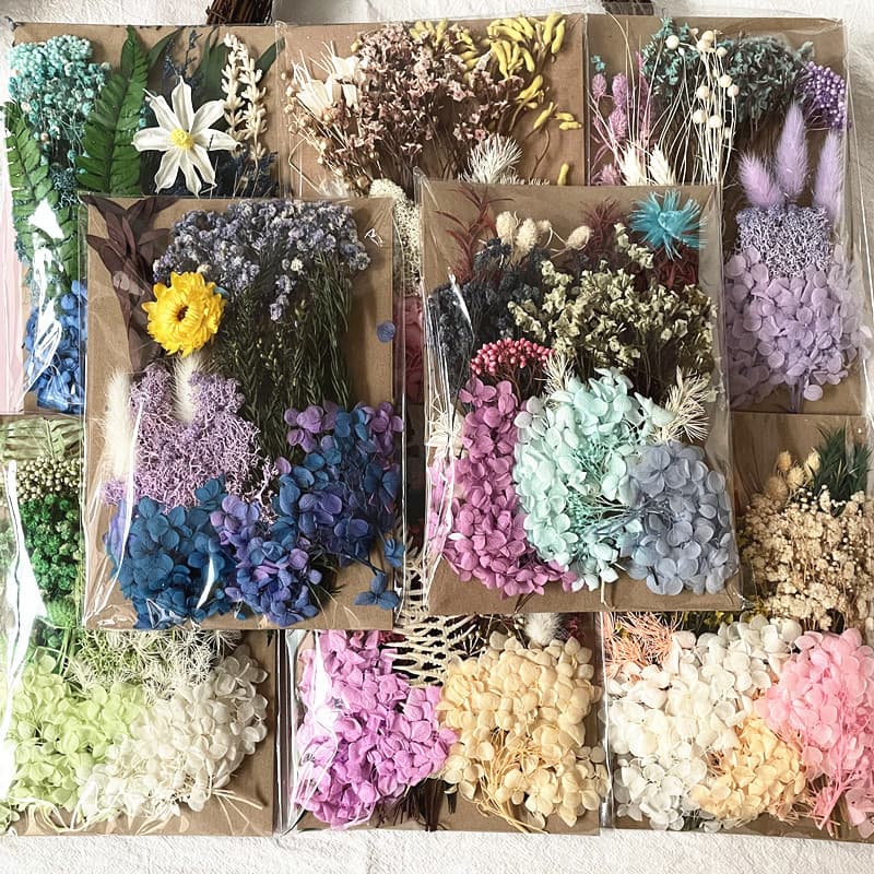 Immortal dried flowers ancient style fan A type material package children's handmade eternal flower photo frame dried flower material package