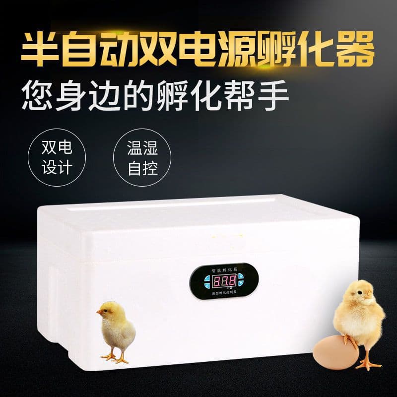 Smart Home Mini Water Bed Incubator, Fully Automatic Temperature Control, Small Chicken Hatcher