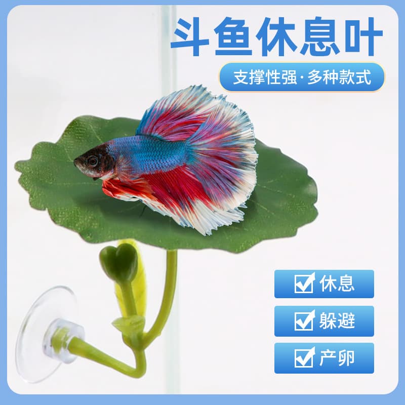 Betta fish resting, hiding, spawning, lotus leaf, artificial aquatic plant, tree leaf, sleeping bed, fish tank landscaping, betta fish resting leaf