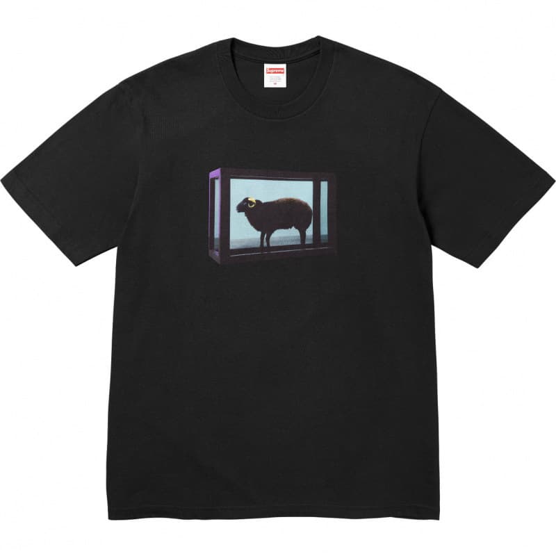 Supreme SS25 Short-Sleeve T-Shirt American Streetwear High-Quality Version