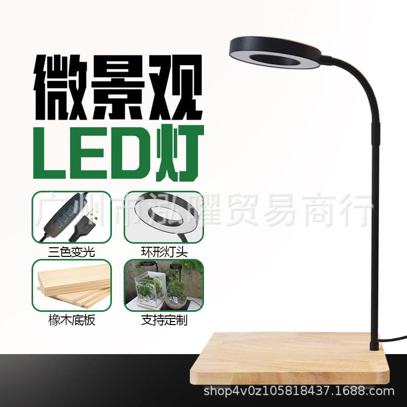 Micro Landscape LED Aquarium Light with Bamboo Base for Aquatic Plants, Moss, Terrestrial/Aquatic Use, Succulent Potted Plants