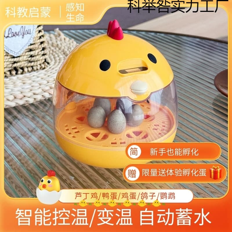 Children's Science and Education Incubator, Small Home Smart Constant Temperature Rutin Chicken Parrot Automatic Egg Incubator, Hatching Egg School