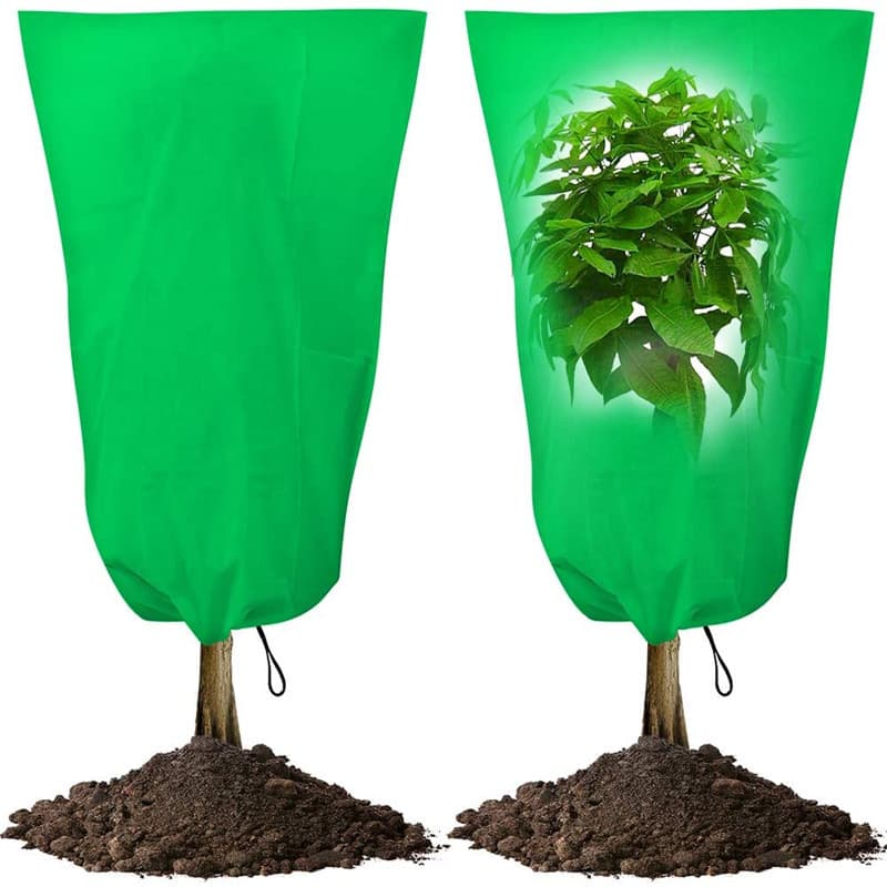 Other Landscaping Materials - Bird Feeders & Birdhouses