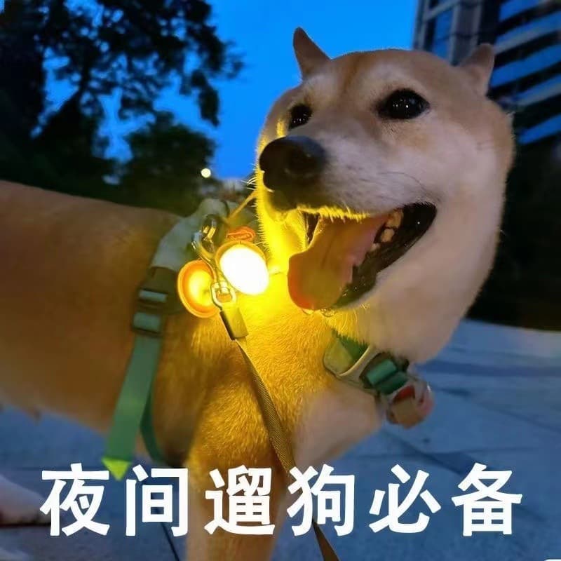 Dog Night Walk Anti-Loss Glowing Pendant Flash Pendant Pet Accessory Tag Night Light