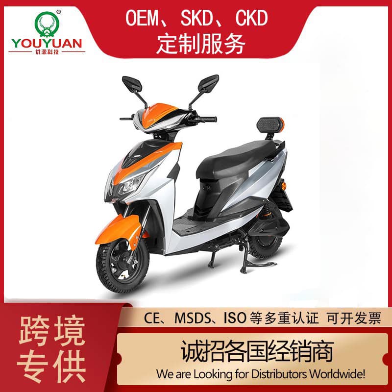Zhanlang 3 Electric Motorcycle OEM Custom Factory Direct Supply Electric Motorcycle Wholesale Export Special High Power Long Range