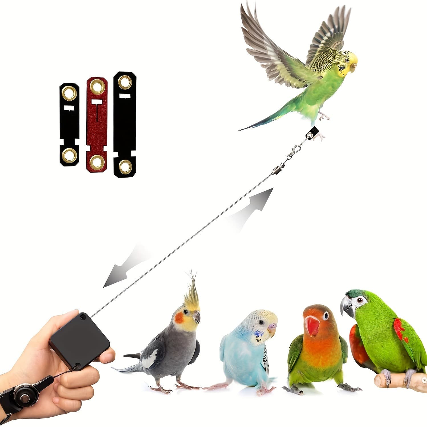Retractable Anti-Bite Parrot Harness with 3 Sizes Soft Foot Ring for Birds Outdoor Flight Training