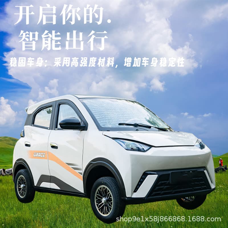 New Energy Electric Four-Wheel Vehicle Lady Electric Car High-End Home New Model Electric and Gas Battery Car Seagull Senior Scooter