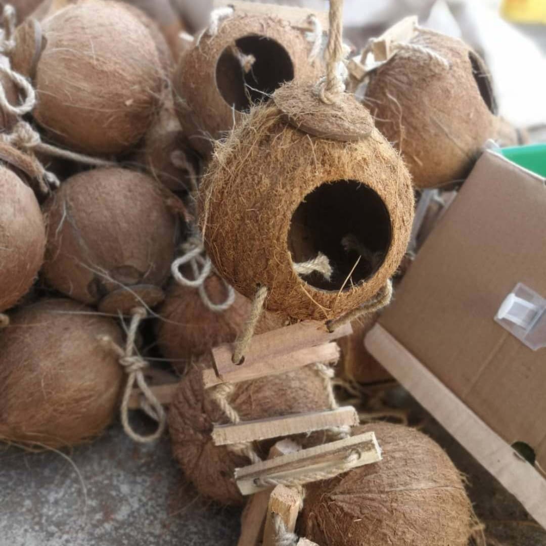 Wholesale coconut shell bird nest bird cage breeding box with ladder peony budgie pet wooden house pet supplies