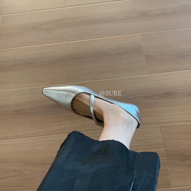 2025 New French Style Silver Pointed Toe Thick Heel Shoes Women's Shallow Mouth Strap Shoes Medium Heel Mary Jane Women's Shoes