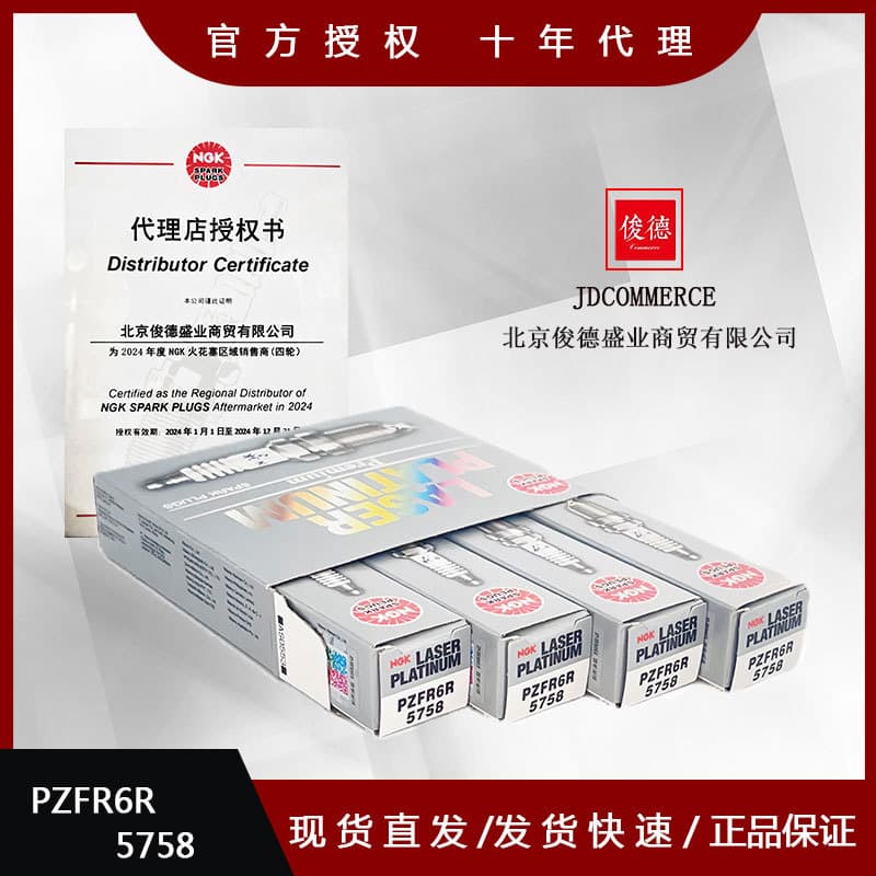 Genuine NGK Double Platinum Spark Plug PZFR6R 5758 for Sagitar Magotan Lavida Bora Touran