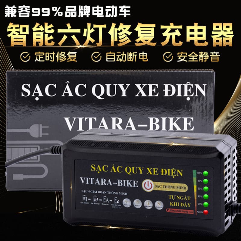 Six-light lead-acid battery smart charger with timer, popular export product