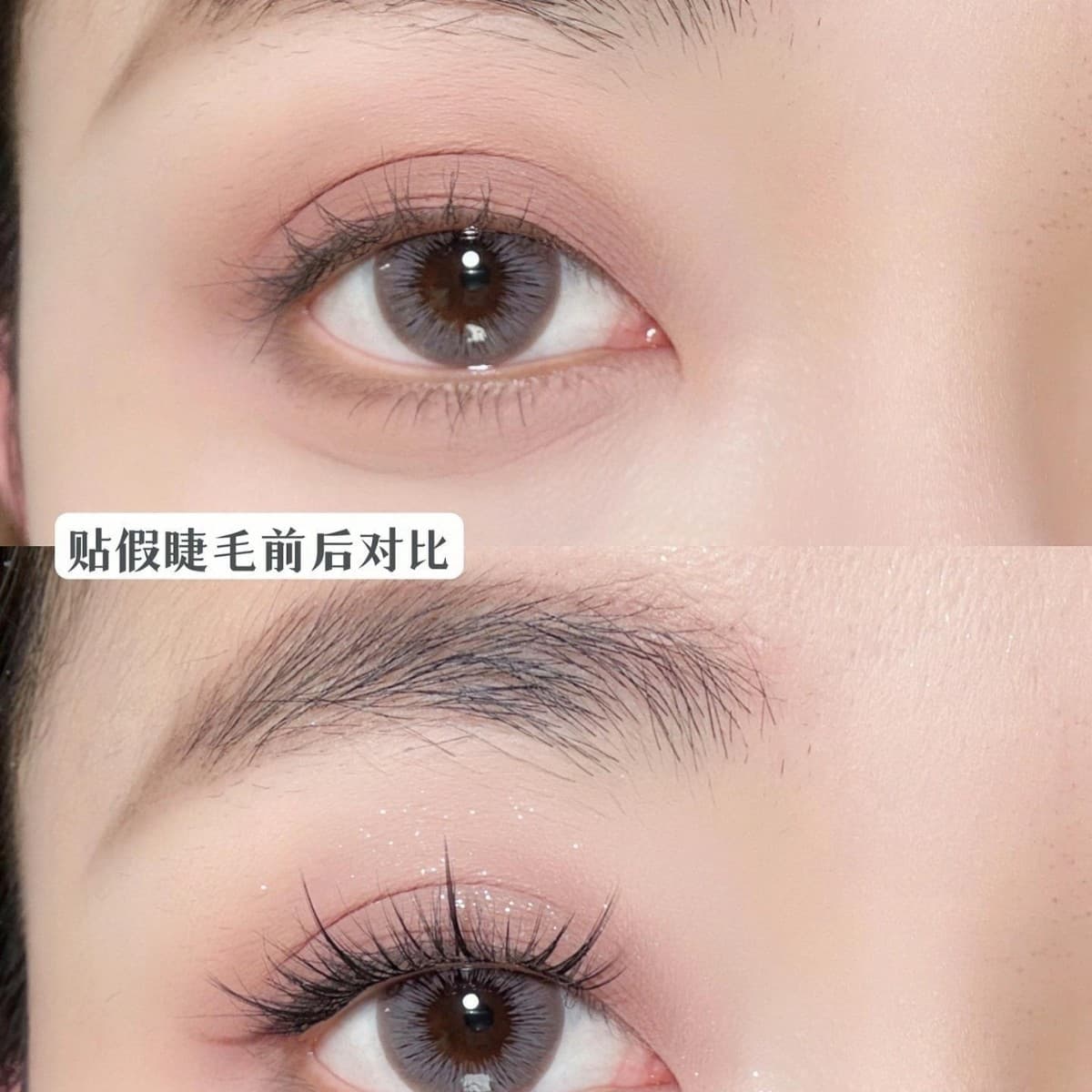 EIYI 10-Row Lazy Trilogy Sunflower False Eyelashes for Women Natural Simulation Single Cluster Segmented Self-Adhesive Eyelashes