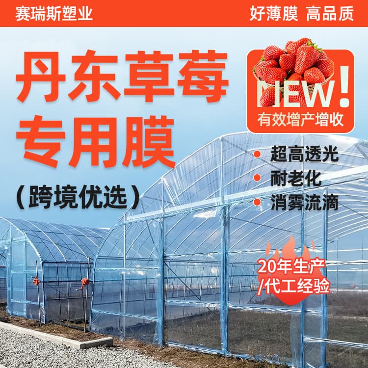 Factory Direct Sales 10-Micron Blue High-Transparency Greenhouse Film for Vegetable Cultivation, Po Film Plastic Sheet Greenhouse Film