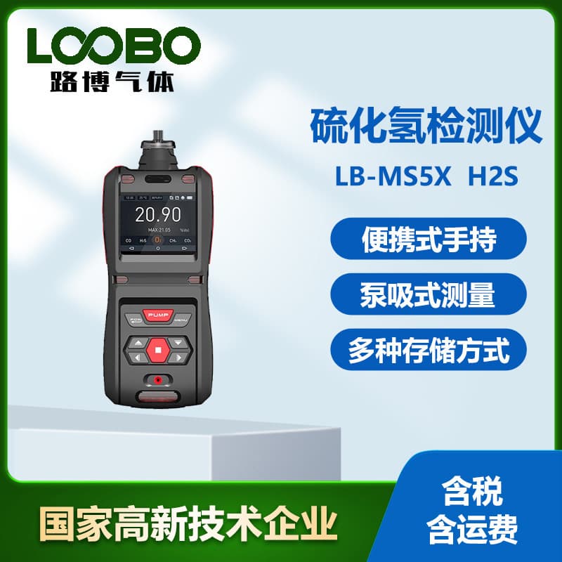 Portable Explosion-proof Hydrogen Sulfide Gas Alarm Pump-suction Hydrogen Sulfide Gas Detector