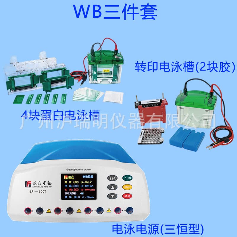 Protein Transfer Electrophoresis Tank Set LF-600T Power Supply+Mini4+ZY04 Membrane Transfer Electrophoresis Tank Group Longfang Xingyu
