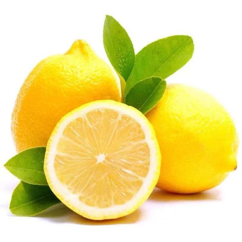 Lemon Tree Seedling Fragrant Lemon Potted Edible Indoor Courtyard Planting Year-Round Fruiting Seedless Green Lemon Large Seedling