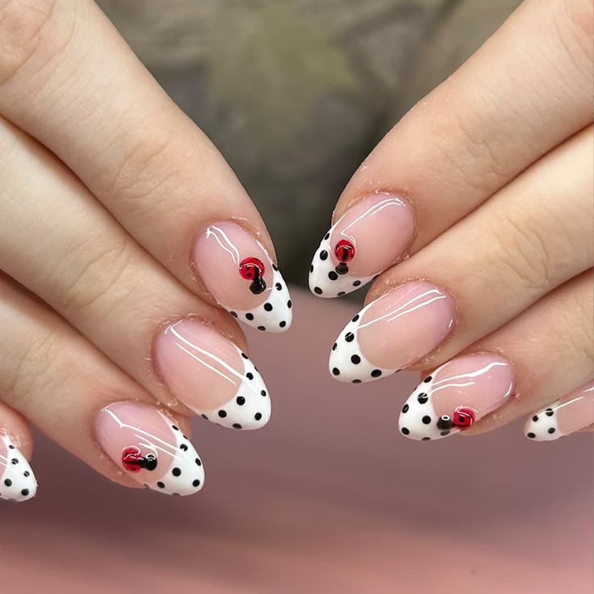 Wearable nails oval simple black and white polka dot French edge seven-star ladybug pattern print removable fake nails