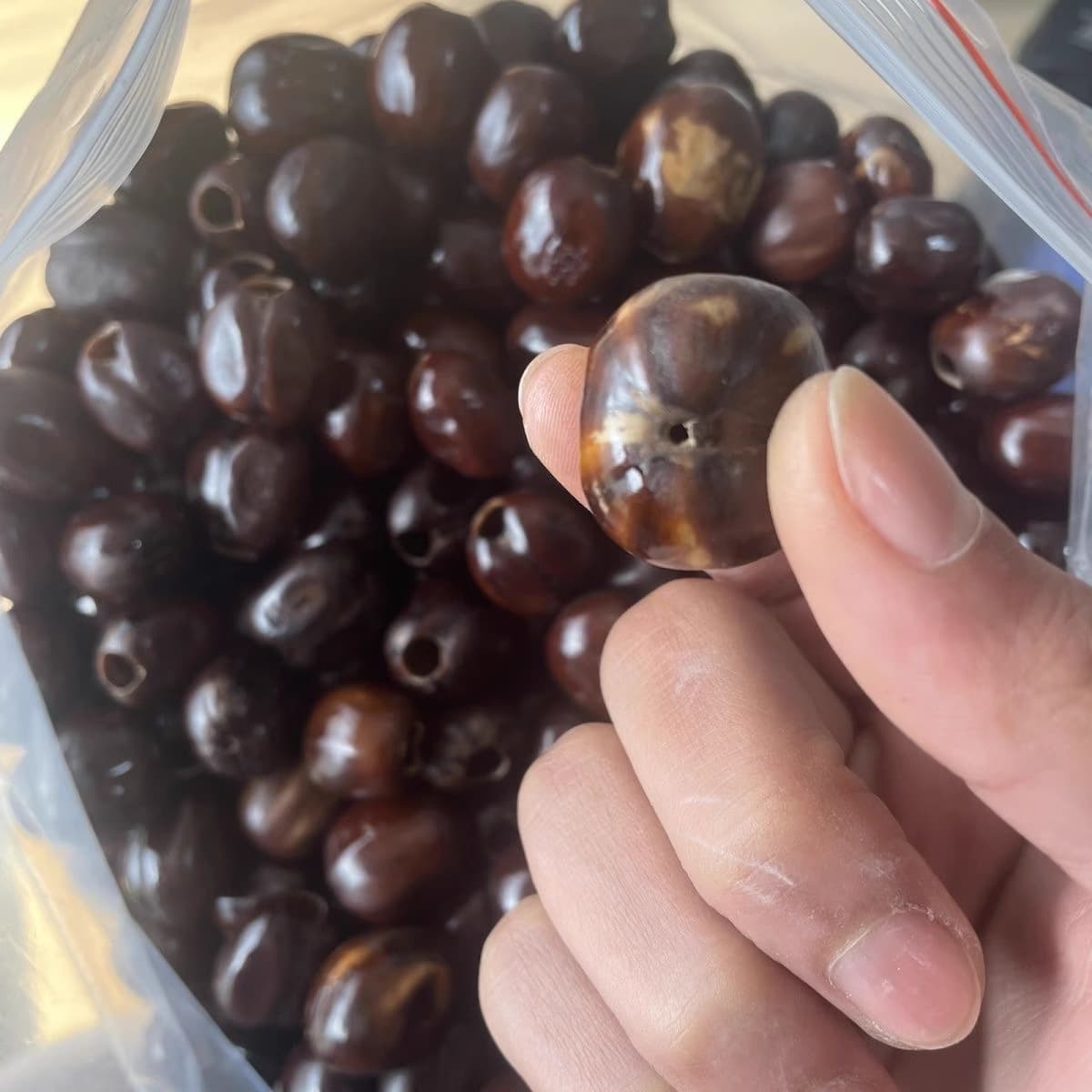 Wholesale Indonesian Coconut Shells, Coconut Shell Rattles, Pendants, Bag Charms, DIY Wish Seeds