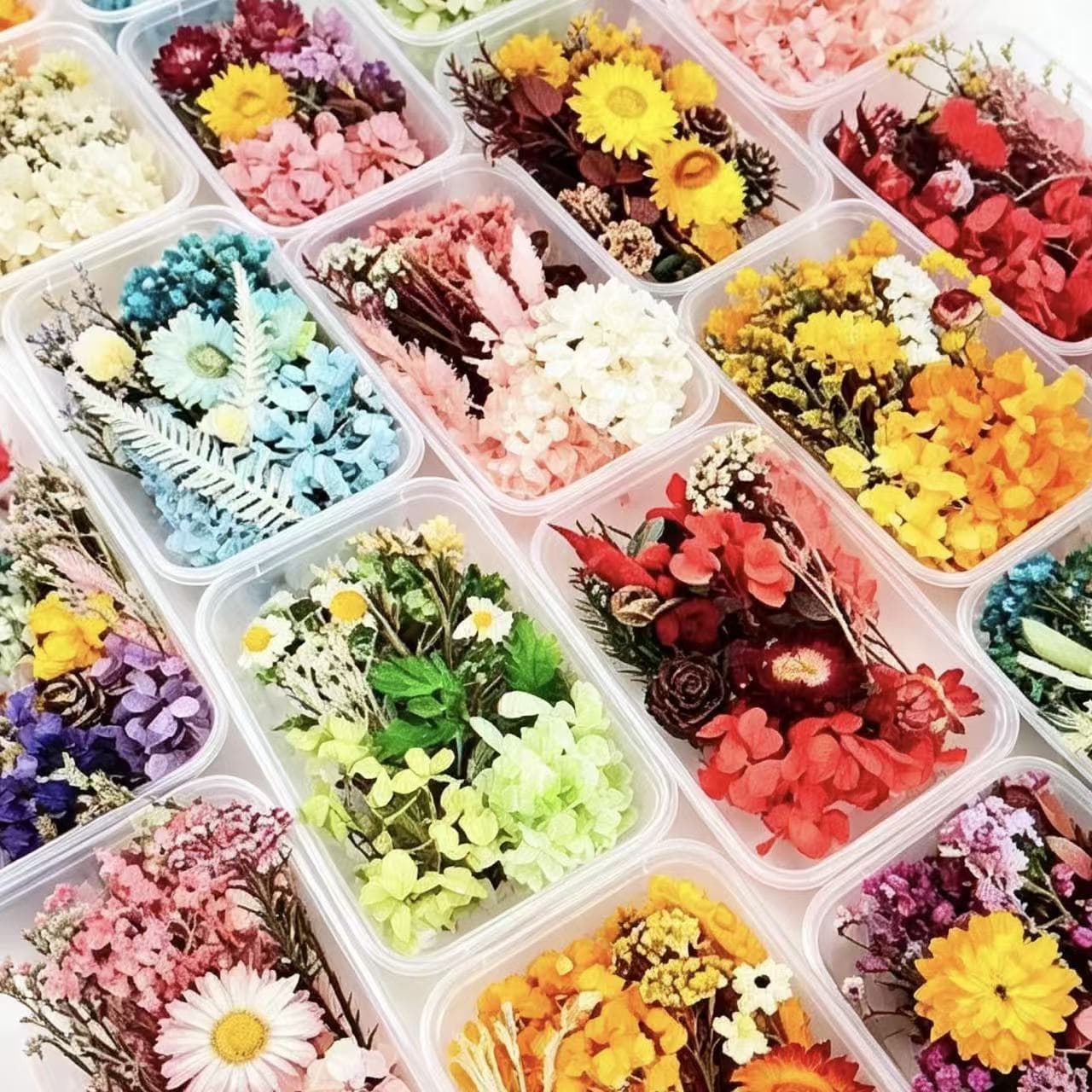 Preserved Flower DIY Materials Dried Flowers Handmade Custom Candle Accessories Gift Decoration Yunnan Wholesale