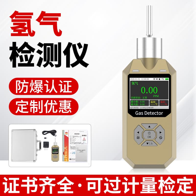 Portable Pump-suction Hydrogen Gas Detector for Chemical Plants and Laboratory Concentration Detection Alarm