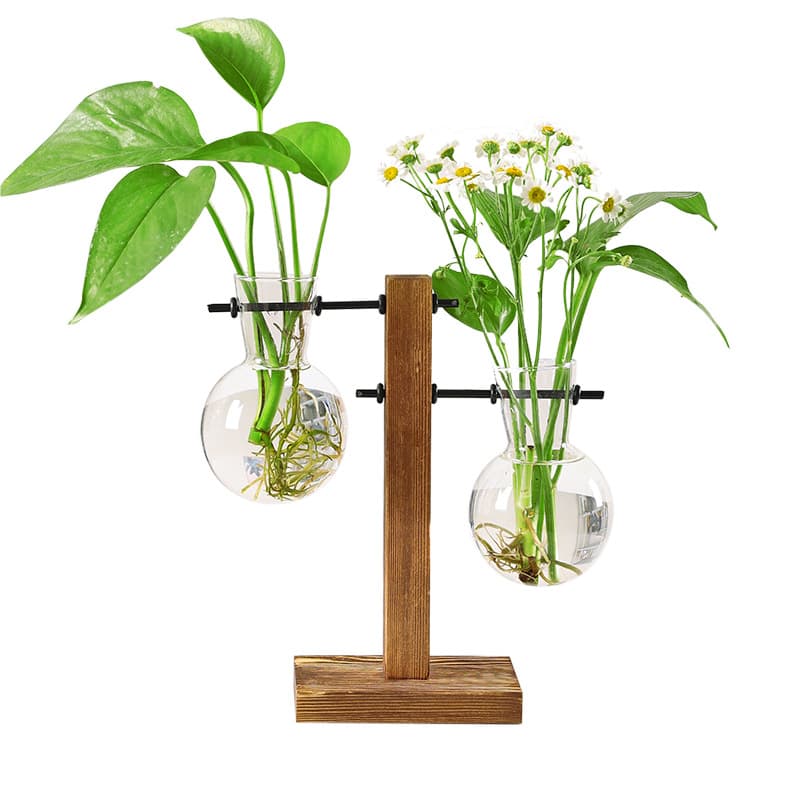Simple Creative Wooden Frame Hydroponic Small Vase Decoration Green Pothos Water Cultivation Plant Transparent Insert Vase Decoration