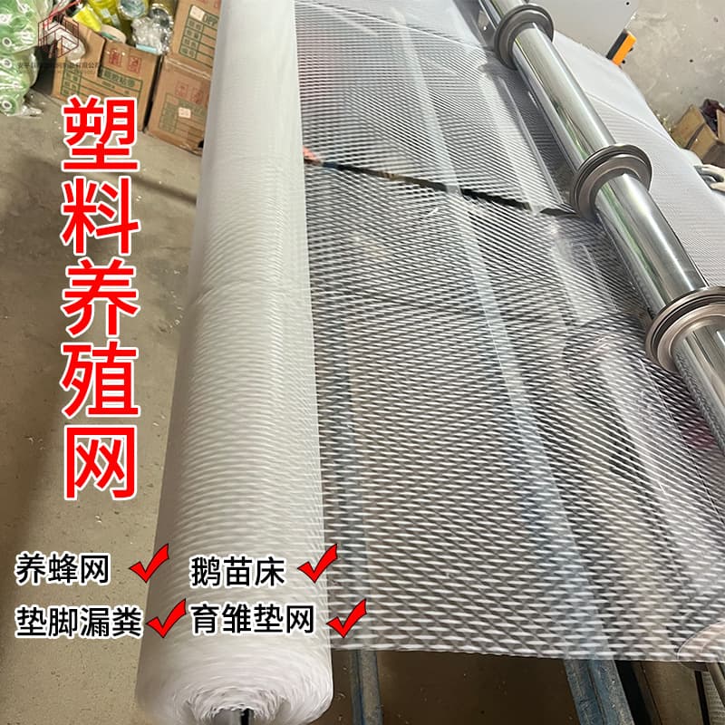 Factory Direct Wholesale Aquaculture Scallop Poultry Fence Netting, Chicken Fence Plastic Mesh Grid Plastic Netting