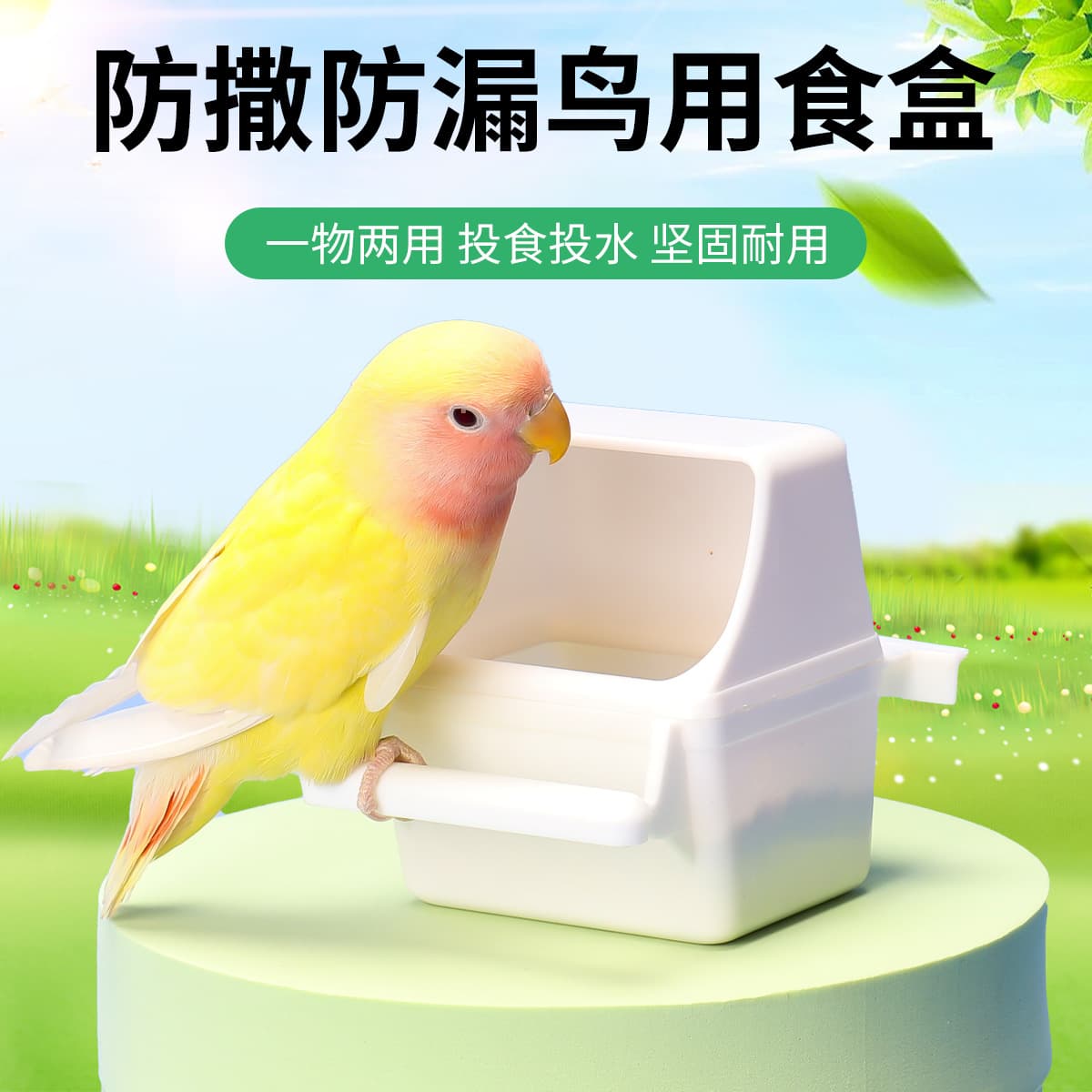 Budgie Food Box, Food Can Feeder, Peony Bird Food Cup, Bird Cage Accessories, Starling Bird Feeding Supplies, Drinking Fountain