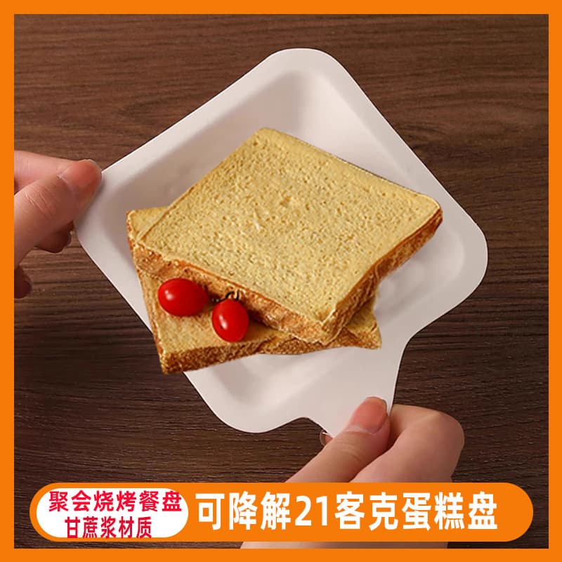 21cake brand square sugarcane pulp plates for birthday parties, thickened serving dishes