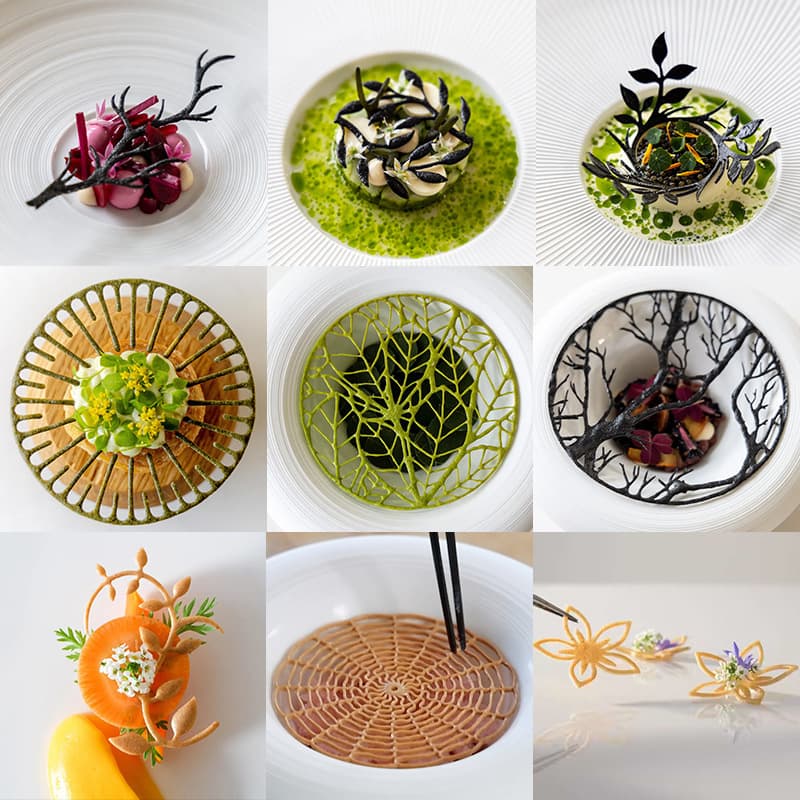 Cross-border FCM leaf ring fondant lace cushion branch artistic conception vegetable silicone mold molecular cuisine printing mold