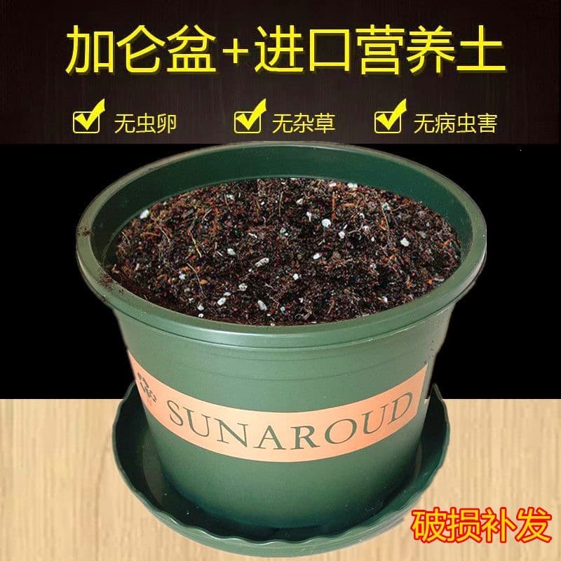 Succulent Flower Pot with Nutrient Soil Plastic Pot with Soil Gallon Pot Flower Soil Vegetable Planting Pot General Purpose Soil