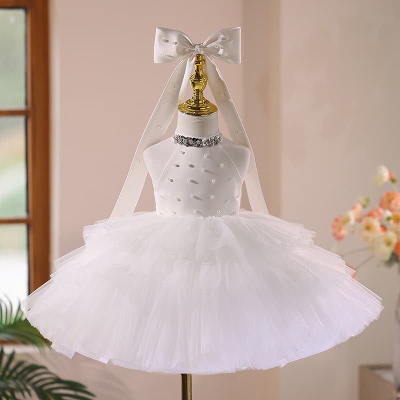 Flower Girl Wedding Dress for Kids, Children's Host Piano Performance Princess Tutu Gown with Premium Look