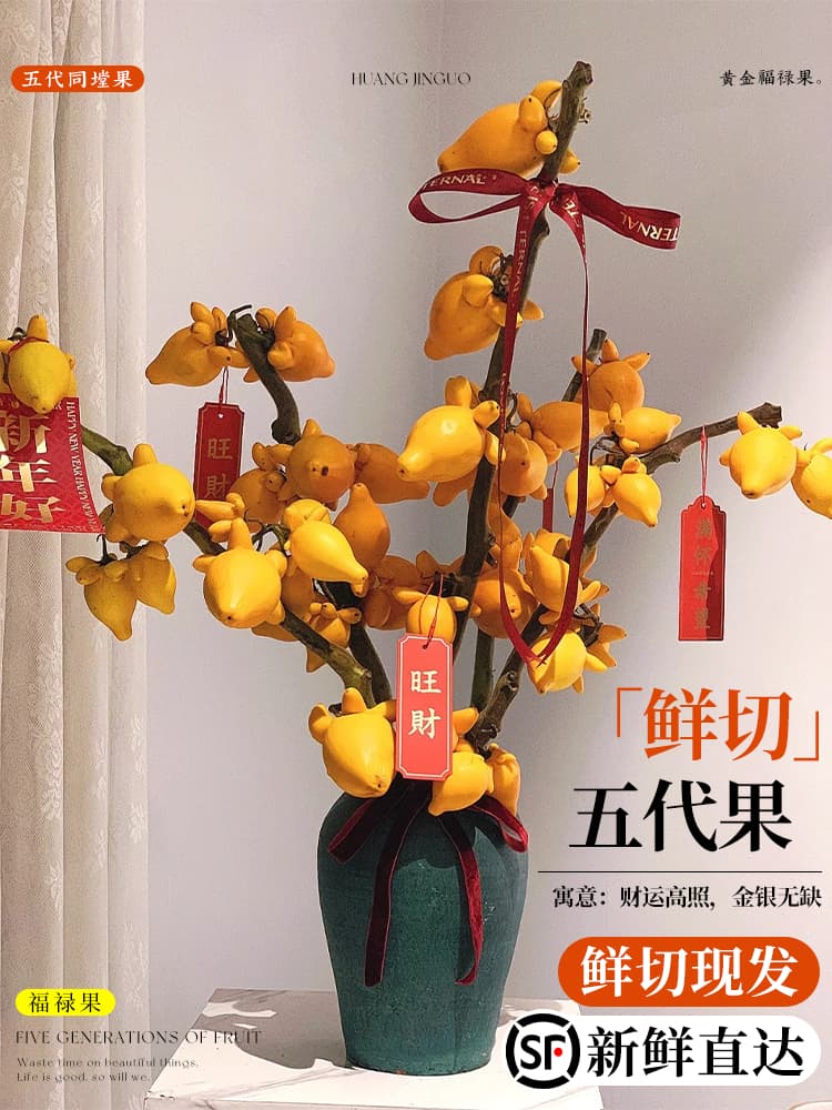 Hydroponic five generations of fresh cut flowers, five generations of golden fruits, New Year's Eve flowers, flowers, home flower arrangements, Yunnan wholesale